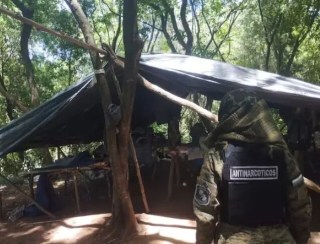 Senad destrói 12 hectares de maconha e 5 toneladas de drogas