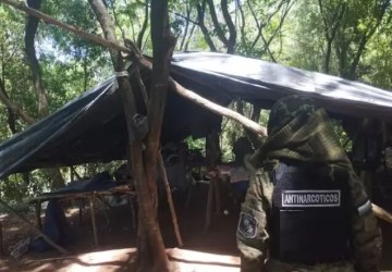 Senad destrói 12 hectares de maconha e 5 toneladas de drogas