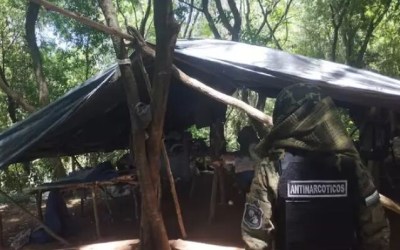 Senad destrói 12 hectares de maconha e 5 toneladas de drogas