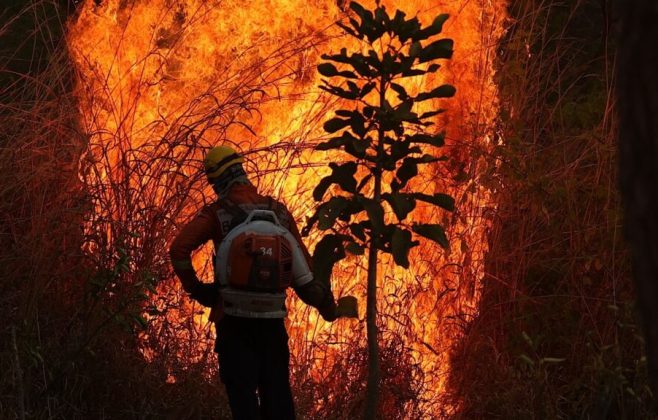 Novos dados apontam que a área devastada por queimadas no Brasil cresceu 79% em 2024